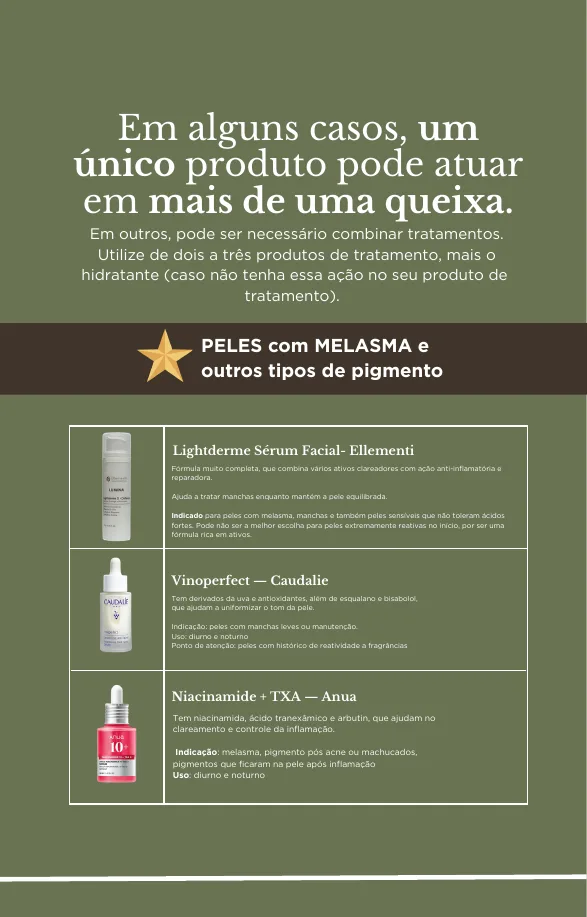 Página interna do guia